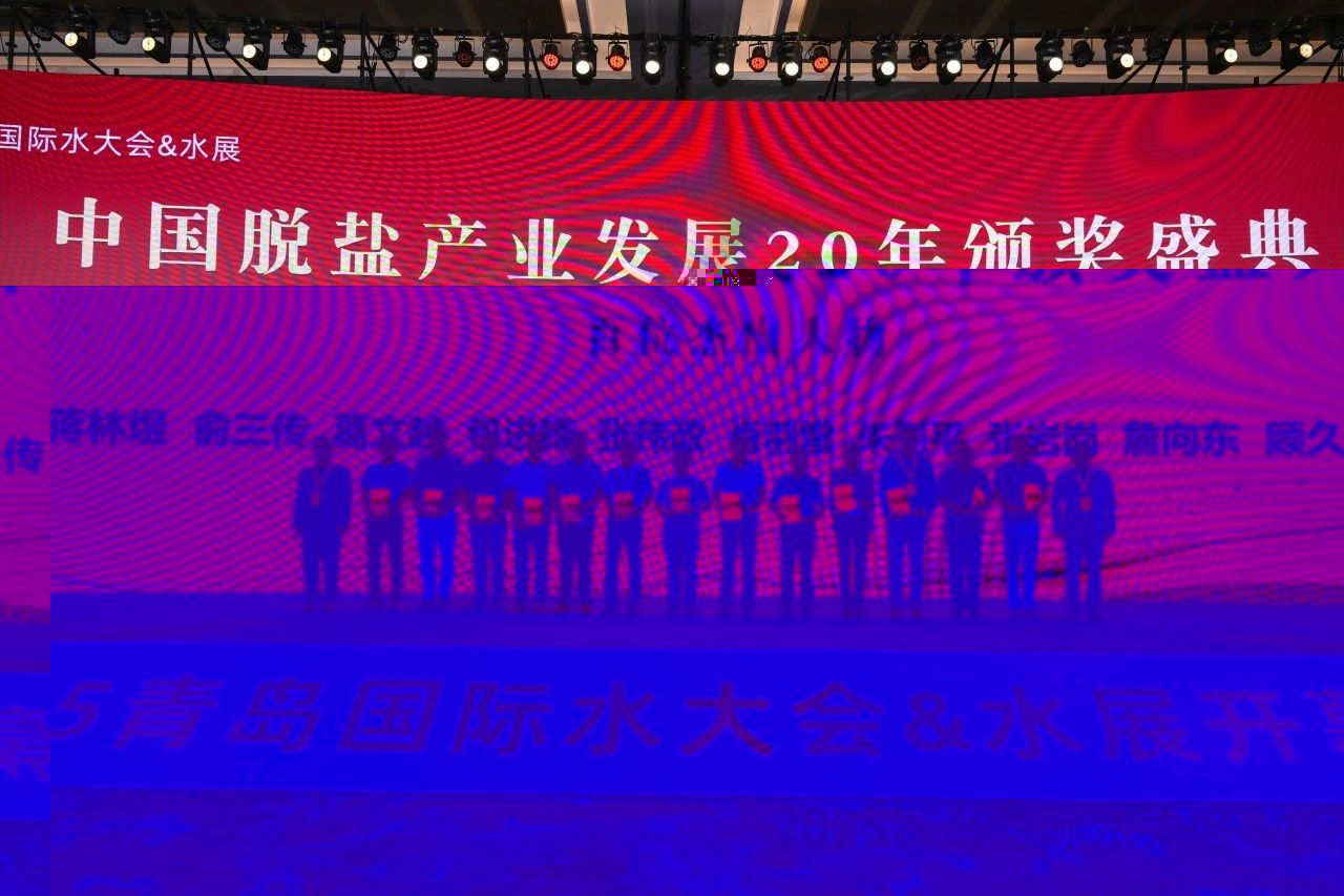 杰出人物奖.jpg